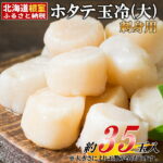 【ふるさと納税】刺身用ほたて(大)31～35玉＜鮭 魚卵 専門店 "根室" 蔵出 直送＞ ( ホタテ 帆立 ホタテ貝柱 帆立貝柱 根室 冷凍 刺身 刺身用 貝柱 天然 生食 小分け 大 大玉 大粒 中 魚介 海鮮) A-16021