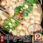 【ふるさと納税】国産 牛もつ鍋 12人前 合計1.8kg 牛もつ 1.2kg ちゃんぽん麺 600g 濃縮スープ 300g たっぷり 大容量 モツ鍋 もつ鍋 セット もつ モツ ホルモン 鍋 醤油 スープ付 冷凍 九州産 福岡県産 送料無料