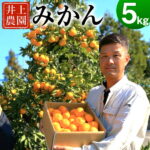 【ふるさと納税】産地直送！宇佐産みかん 5kg （M・L） 温州 ミカン 蜜柑 果物 フルーツ 期間限定 予約 送料無料